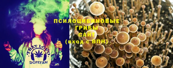 винт Володарск