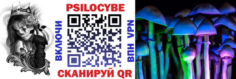Псилоцибиновые грибы Psilocybe Чебоксары